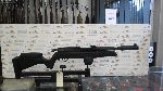 AC CARABINA LIBERA VENDITA - MARCA GAMO - MODELLO ARROW PCP - CALIBRO 4,5